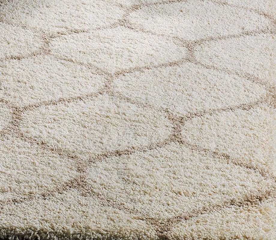 Image of TRANQUIL Polyester Fluffy Fur Rug Shaggy Modern Carpet for Living Room, Bedroom, Guest Room, Kids Room (6x9 Feet, Ivory Beige)