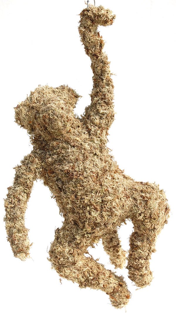 Monkey Topiary (15") Sphagnum Moss Topiary Form