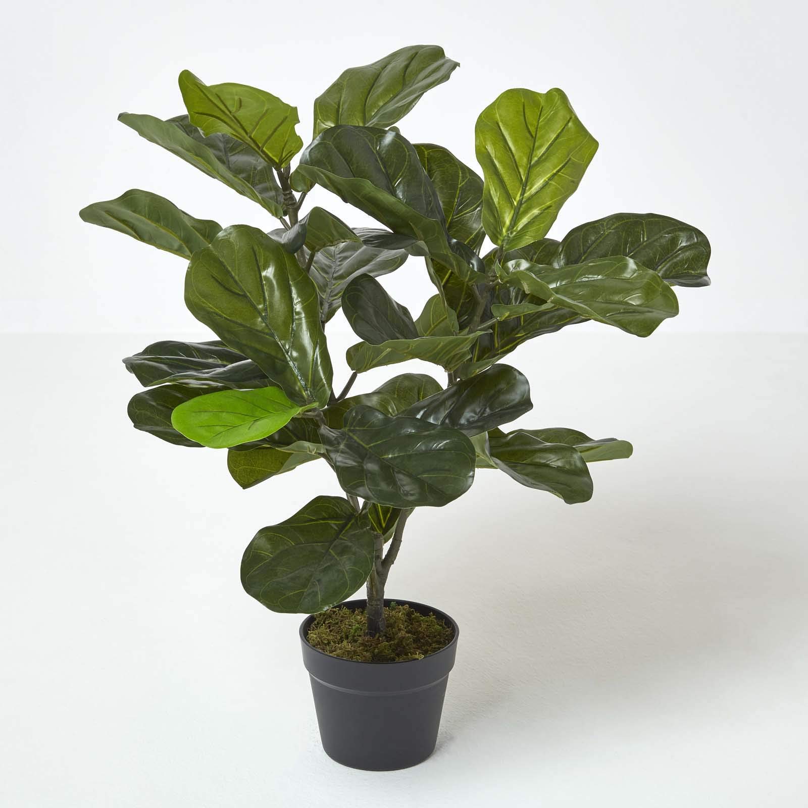 Homescapes Green Artificial Fiddle Leaf Fig Tree In Pot, 70 Cm Tall In