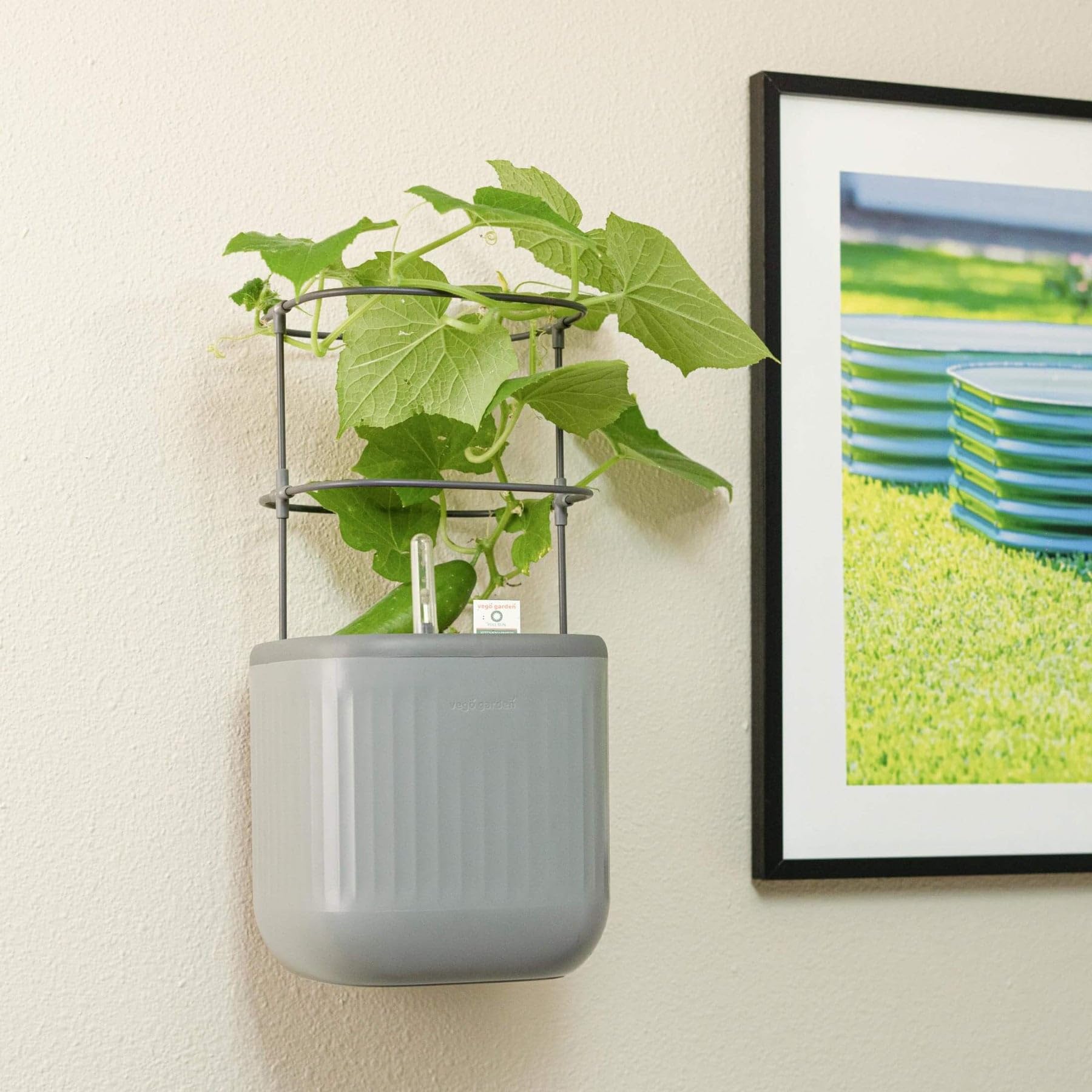 Vego garden Planter Box Brackets for Herb & Mini Planters, Adjustable Window Box Brackets, Wall Mount Flower Box Bracket, Heavy Duty Planter Shelving for Patio Garden Fence Railing Balcony, 2 Pack