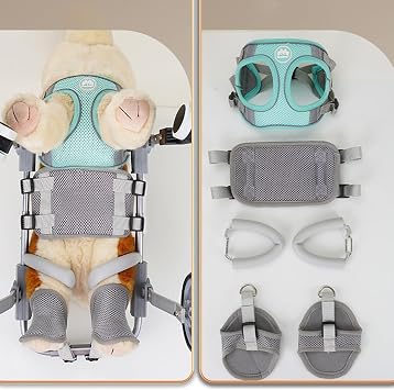 Dog Wheelchair For Back Legs,Legs Medium Large,Support Dog Front Leg With 2 Wheel,Mobility Adjustable Pet Cat Rabbit,For Walking,Disabled Assistant Exercise Brace(M,Two-wheeled)