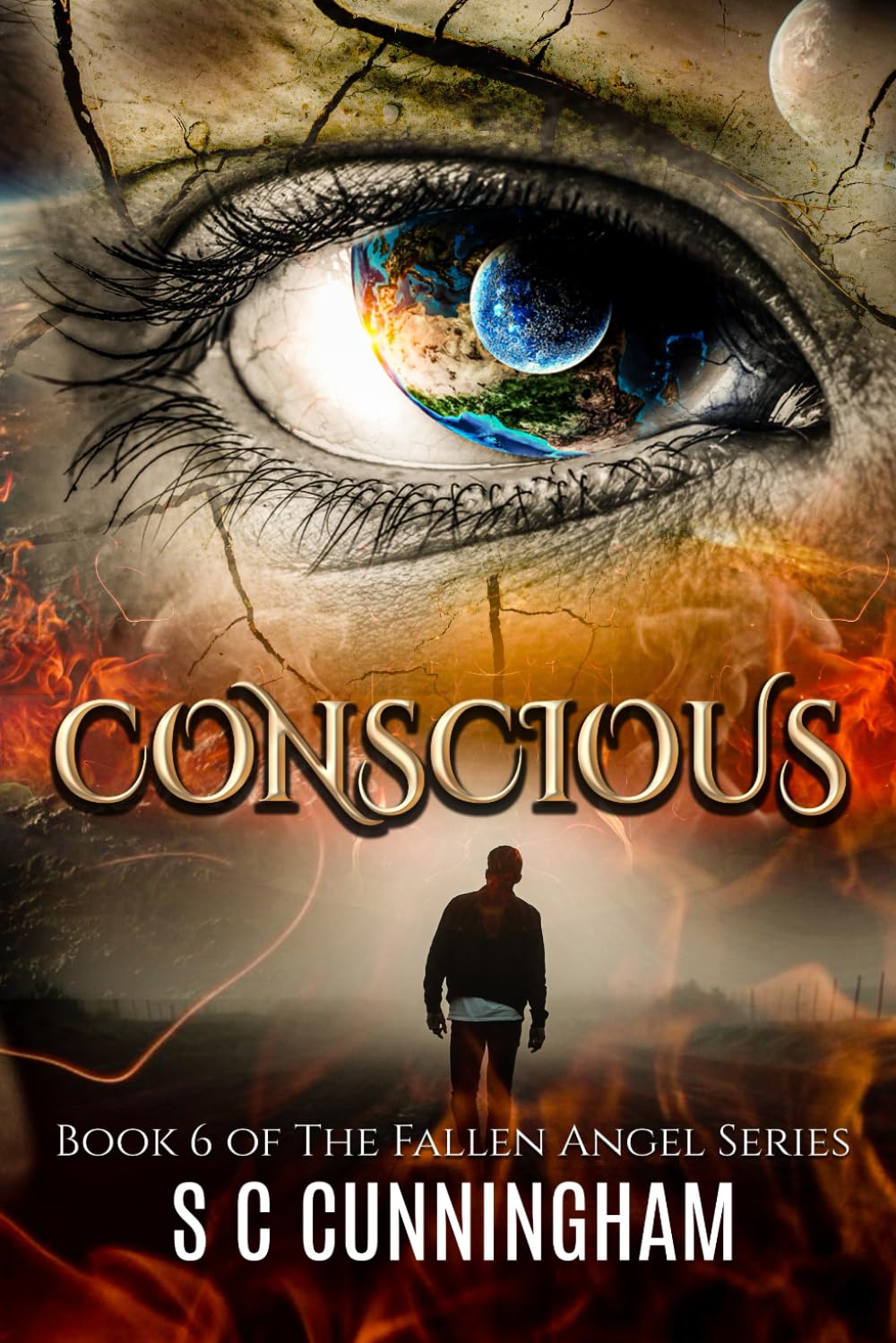 Conscious: Otherworld Crime Rom Fantasy (THE FALLEN ANGEL SERIES sky police justice - standalones)