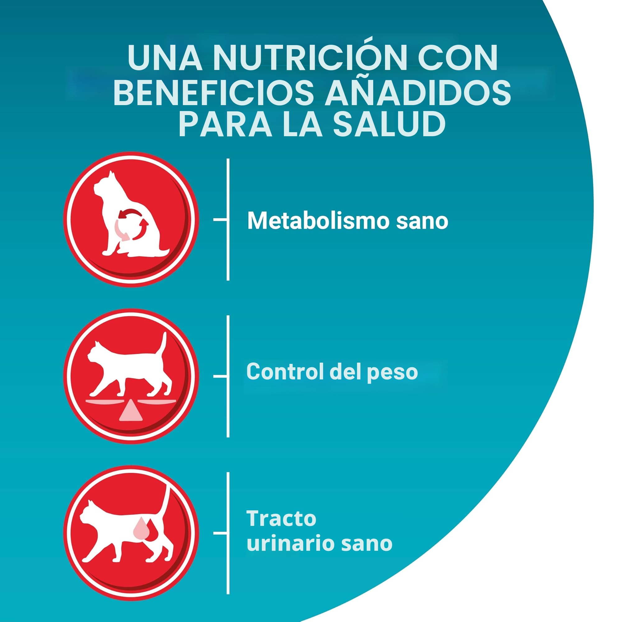 Purina One - Gato bifensis Especial esterilizado Carne de Vaca y Trigo croquetas para Gatos Adultos 9,7 kg