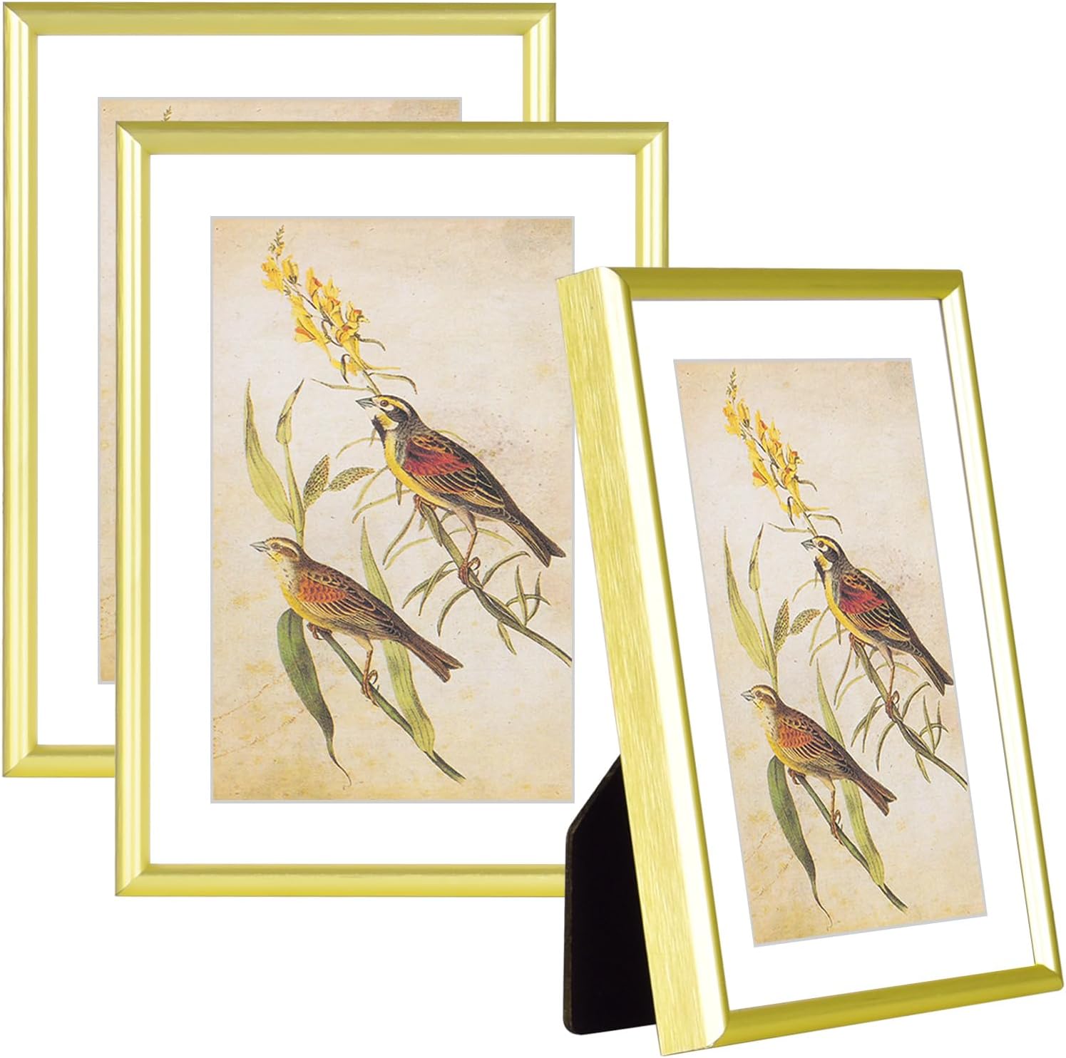 4x6-3P Picture Frame Matte Gold Brushed Thin Metal Float Photo Frame with HD Glass, Fit 3x5 with Mat or 4 x 6 without Mat, for Table and Wall, 3 Pack