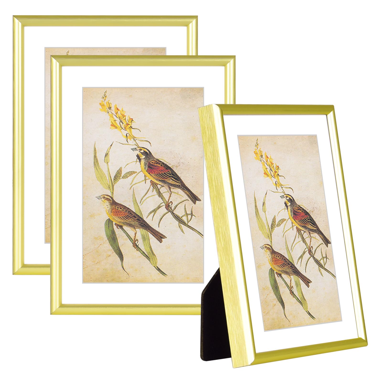 4x6-3P Picture Frame Matte Gold Brushed Thin Metal Float Photo Frame with HD Glass, Fit 3x5 with Mat or 4 x 6 without Mat, for Table and Wall, 3 Pack