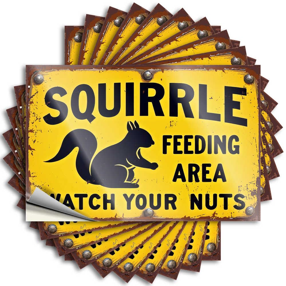 Mens Decor Helmet Saying | Squirrel Feeding Area: Watch Your Nuts Fun for Silicone Decor(12X18CM)