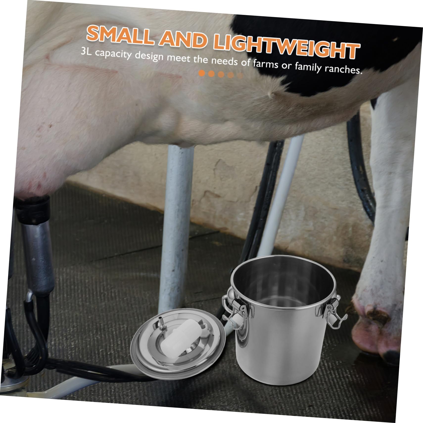 Seau à Lait en Acier Inoxydable 3l pour Vaches et Chèvres Design Portable pour Minimiser le Gaspillage de Lait, pour Ferme Familiale et Usine Laitière