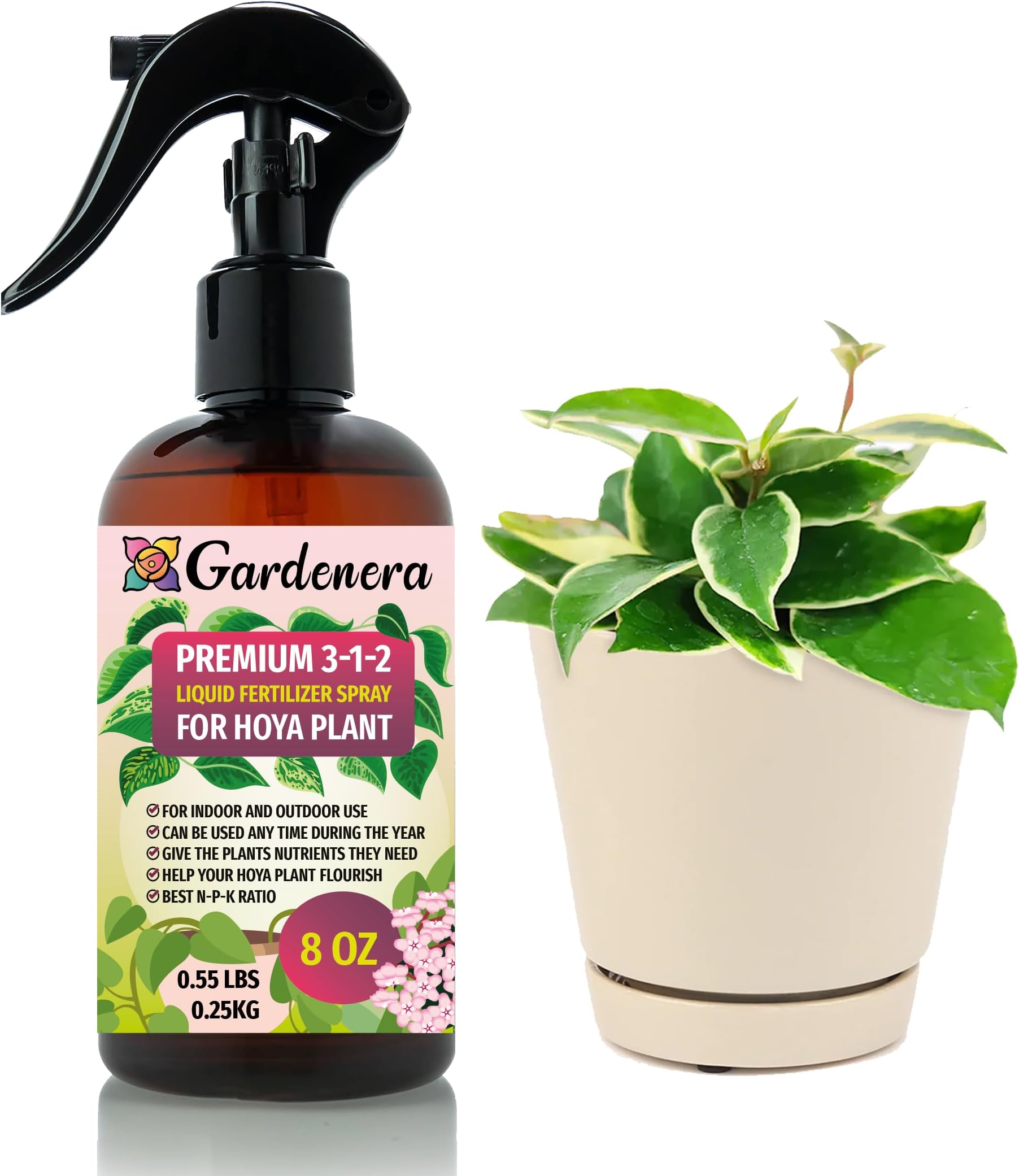 Professional Hoya Spray Fertilizer Mist for Home Gardening | 3-1-2 Gentle Blend Mist for Healthy Leaves & Growth | Essential Nutrients for Hoya Plants - 8oz