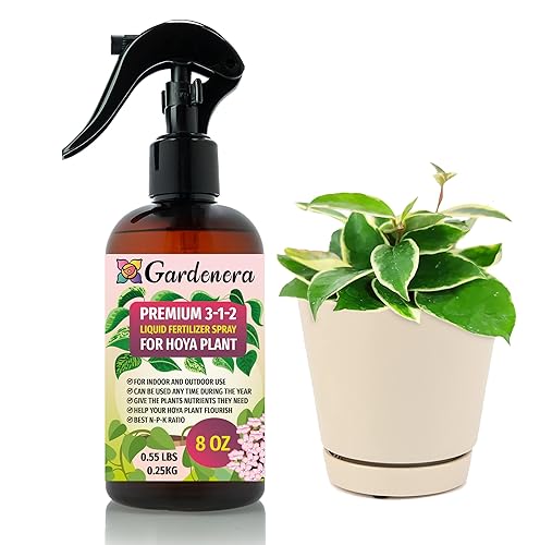 Hoya - Aerosol profesional de fertilizante para jardinería doméstica, mezcla suave 3-1-2 para hojas saludables y crecimiento, nutrientes esenciales