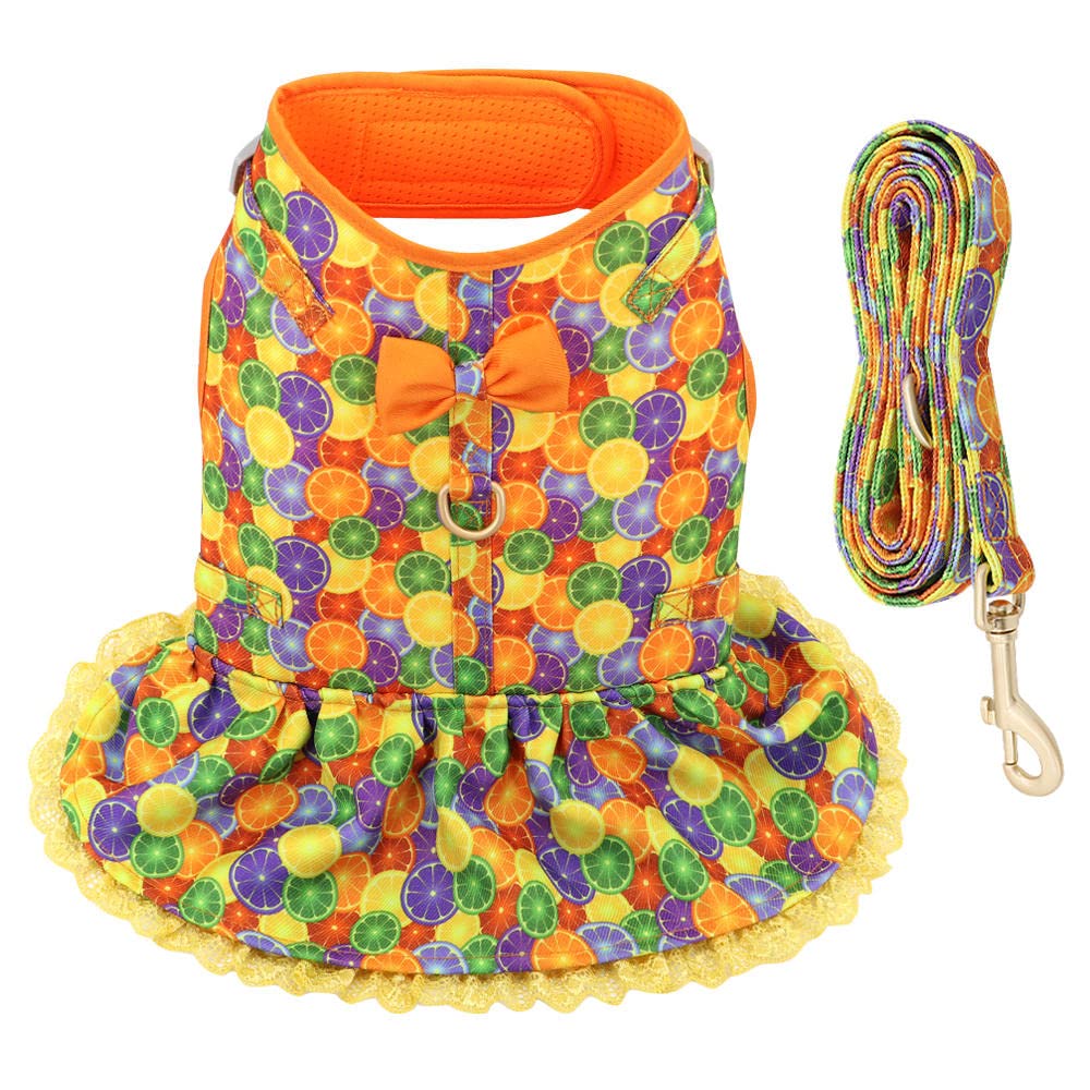 Hundegeschirr, Mit Blei Gedruckt Leine Set Haustiere Welpen Kleidung Kleid Kleine Hund Weste Blau S(White,XS)