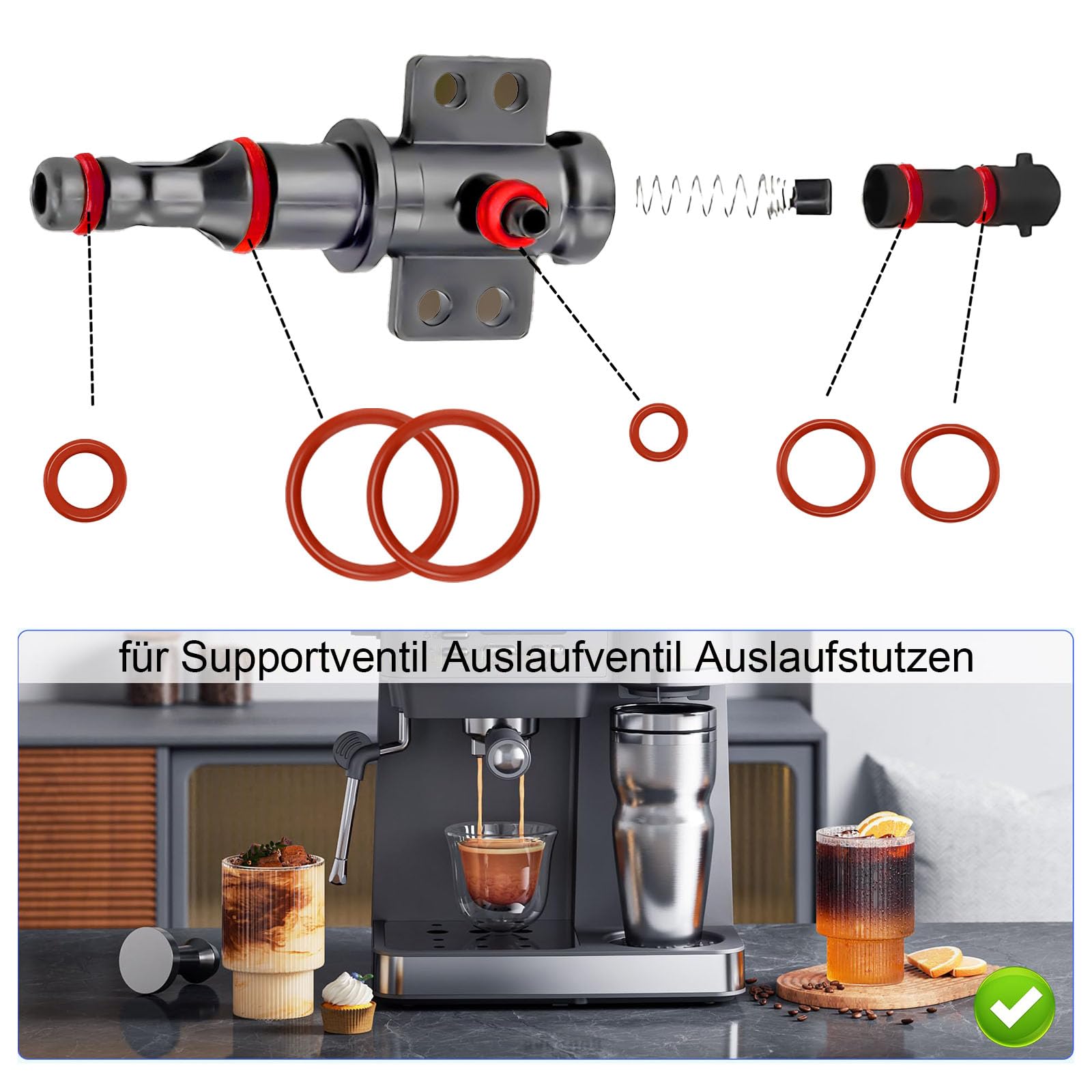 Philips / Saeco Onderhoudsset / Reparatieset voor de Brewunit / Brouweenheid