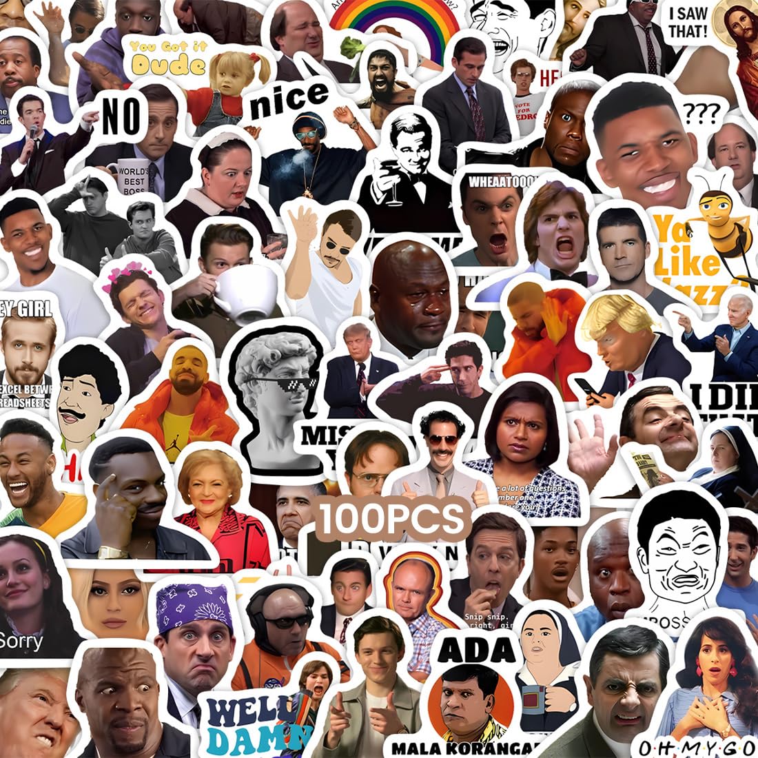 100 pezzi di adesivi divertenti, stickers Meme, adesivi Meme classici, graffiti in vinile per laptop, skateboard, auto, valigie, adolescenti e adulti (A)