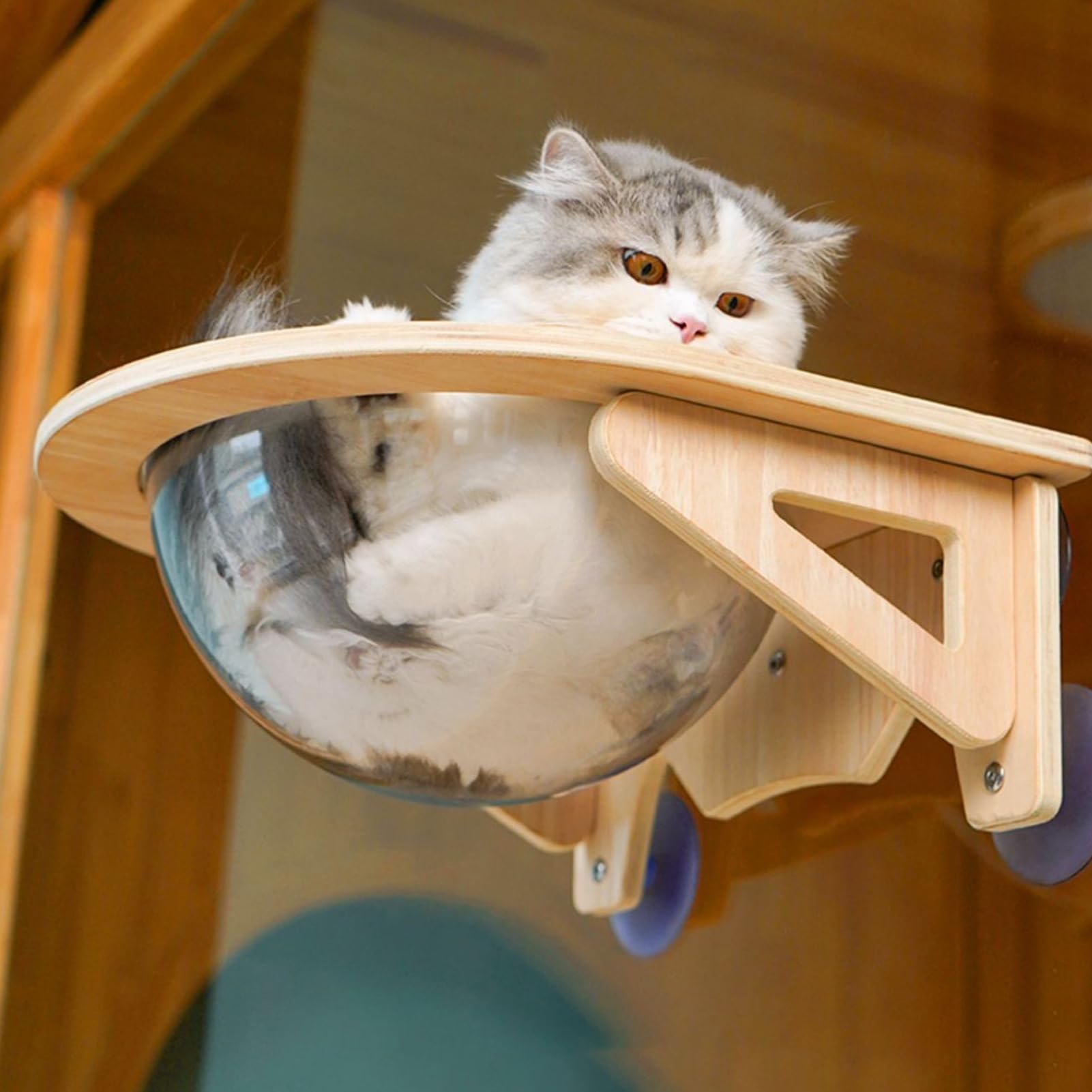 Estanterías para Gatos Montadas en la Pared Cueva de Mascotas con Ventosas | Hamaca Ventana Para Gato en Interiores, Apartamento, Esquina, Lugar de Trabajo, Cocina, Salón, Hogar
