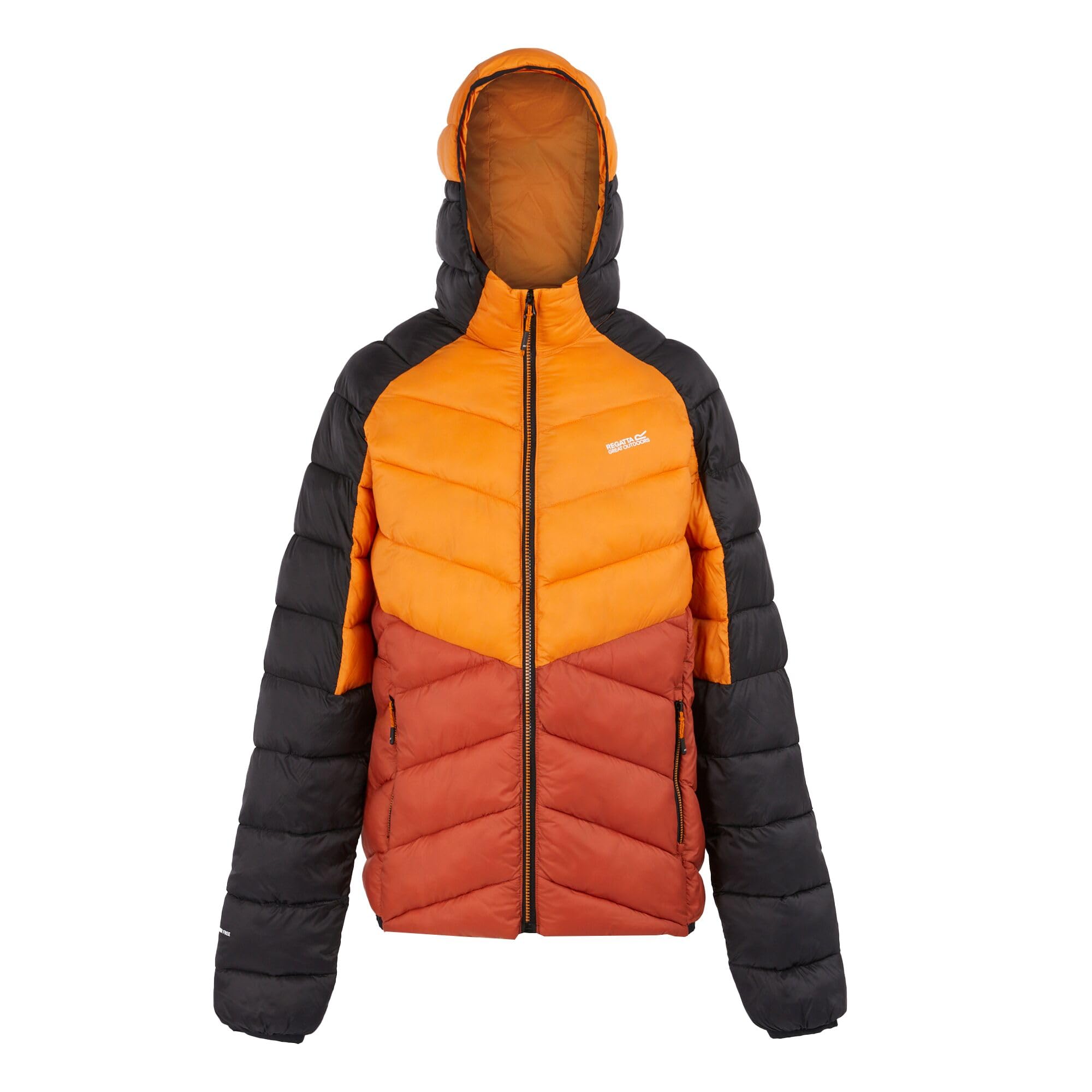Regatta Mens Dalent Lightweight Hooded Padded Jacket, Insulated & Water Repellent - Perfect for Outdoors, Walking, Hiking & Camping