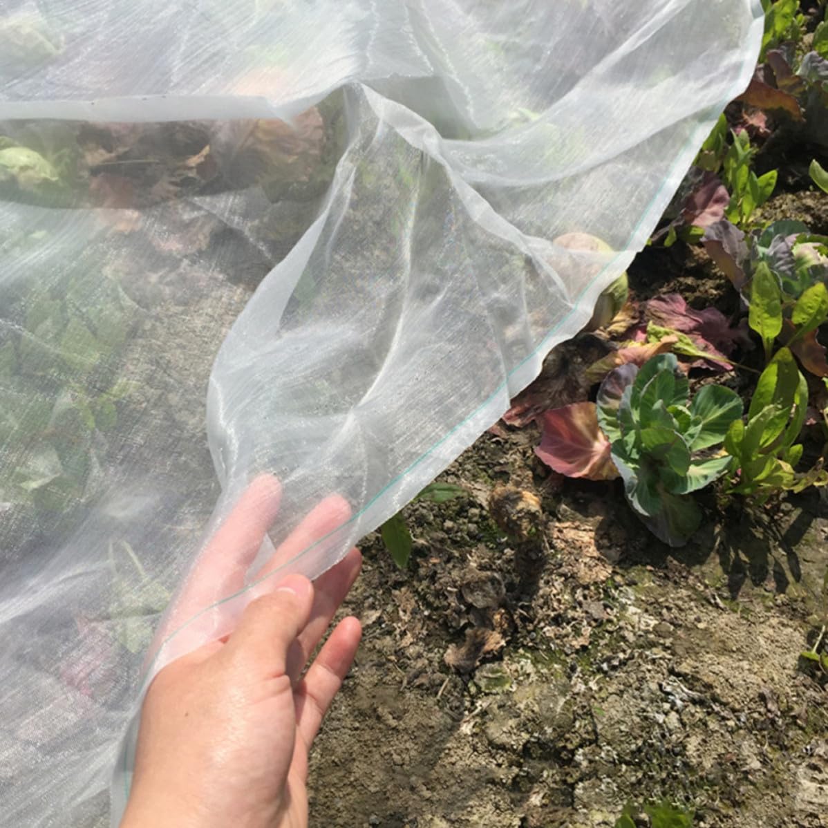 KICHOUSE Rete da Giardino 1 Rotolo 40 Mesh in Nylon Bianco Ventilazione e Trasmissione Luce Rete Antinsetto per Orto e Piante per Serra e Giorni Freddi