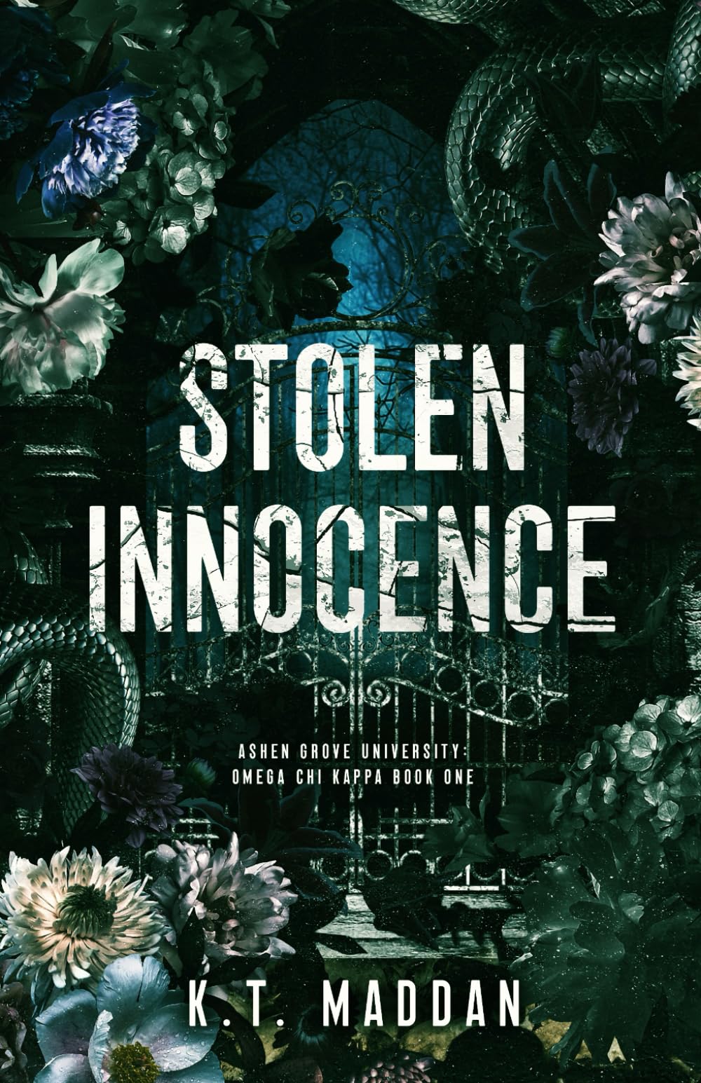 Stolen Innocence: Omega Chi Kappa Book One (Ashen Grove University)