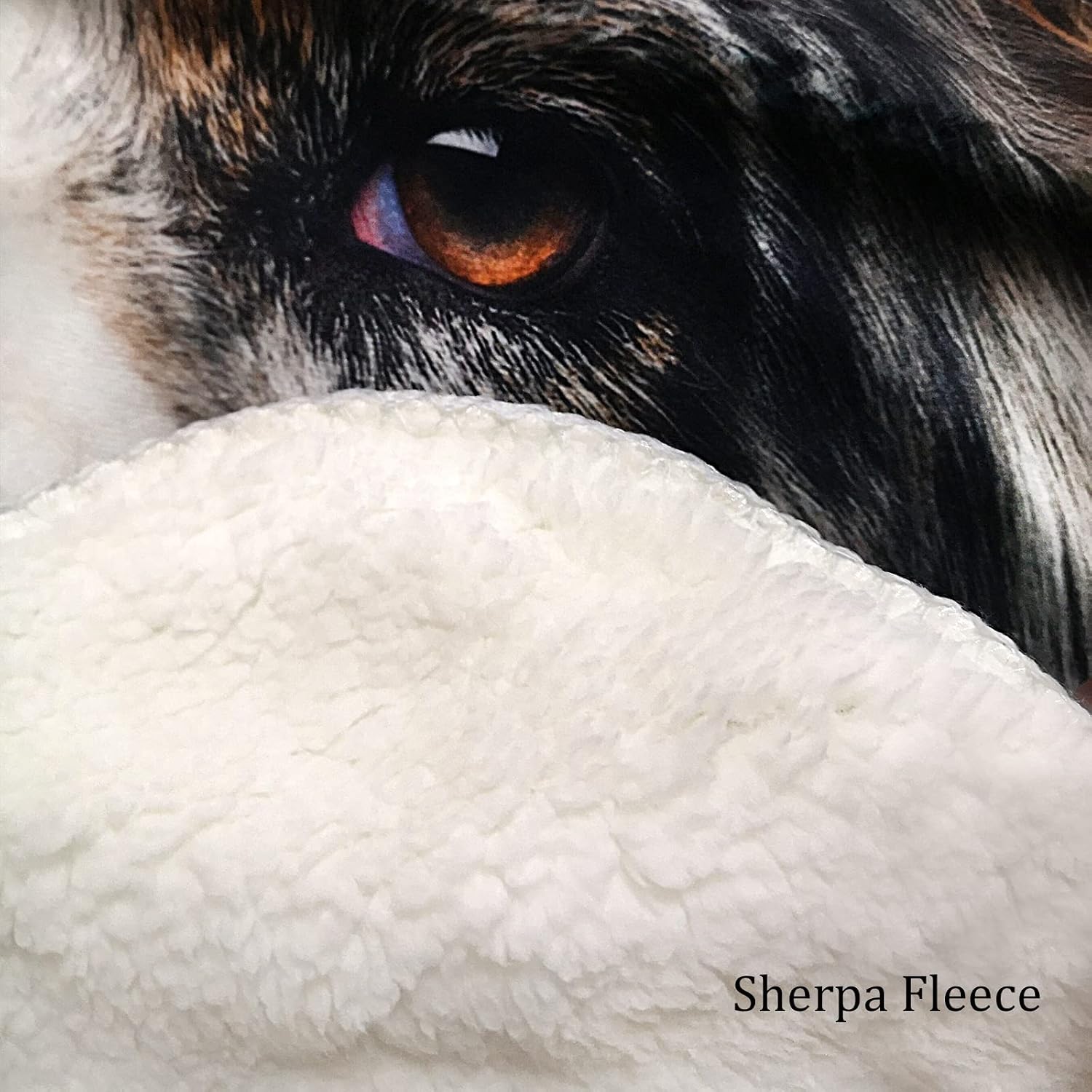 NIWAHO Personalized Pet Memorial Blanket for Loss of Dog or Cat, Feather Turning Into Birds Design Sympathy Throws Blankets Customized Pet Photos - Dog or Cat Memorial Gifts - Rememberance Keepsakes