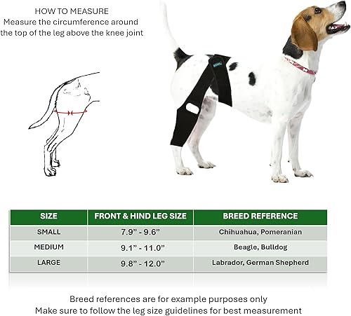 Miniatura 3 de Rodillera para perro para desgarro del ligamento cruzado anterior  Soporte de pierna  Lesión del ligamento  Recuperación de lesiones  Pierna