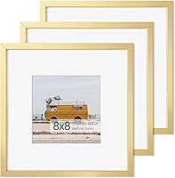 Vista 402 de Fun Memories Portarretratos de metal de 16 x 20 pulgadas con paspartú de 11 x 14 pulgadas, acabado de aluminio cepillado, parte delantera de vidrio