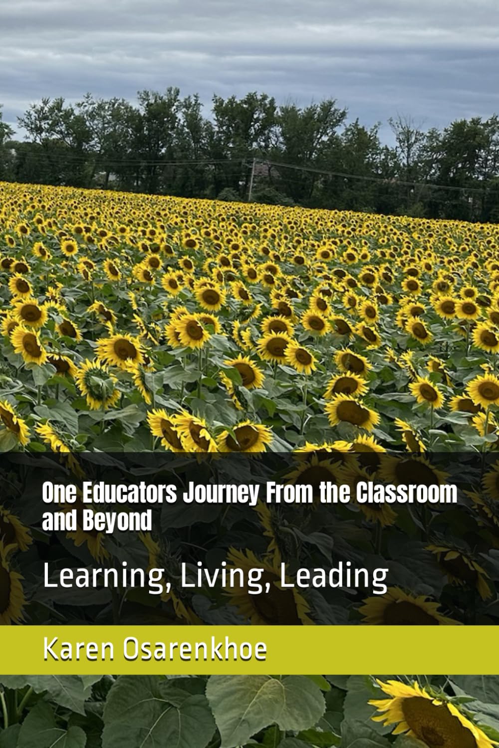 One Educators Journey From the Classroom and Beyond: Learning, Living, Leading