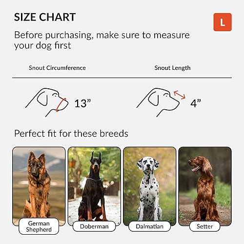 Vista 27 de CollarDirect Bozal para perros Pastor alemán Dálmata Doberman Setter - Cesta de piel, razas medianas y grandes (marrón castaño, grande)