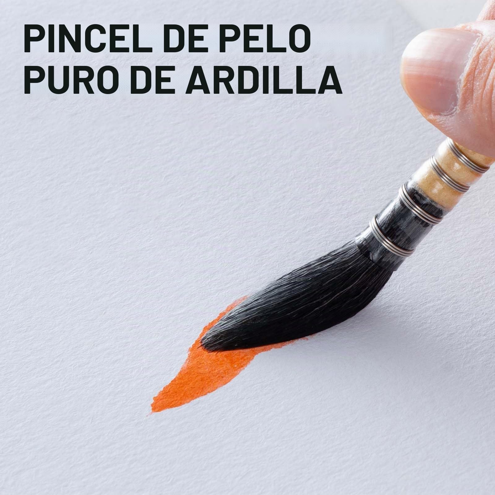 COOZEE Pinceles para artistas, pinceles profesionales de acuarela de pelo de ardilla natural, juego de pinceles redondos y puntiagudos perfectos para acuarela, pintura acrílica gouache (4 pinceles)
