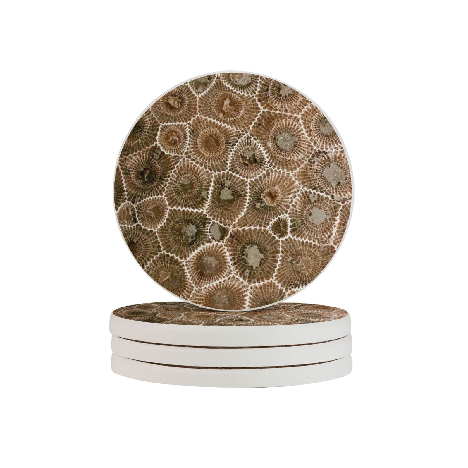 Petoskey Stone Six Piece Coaster Heat-Resistant Reusable Saucers for Drinks Wine Glasses Plants Cups Mugs