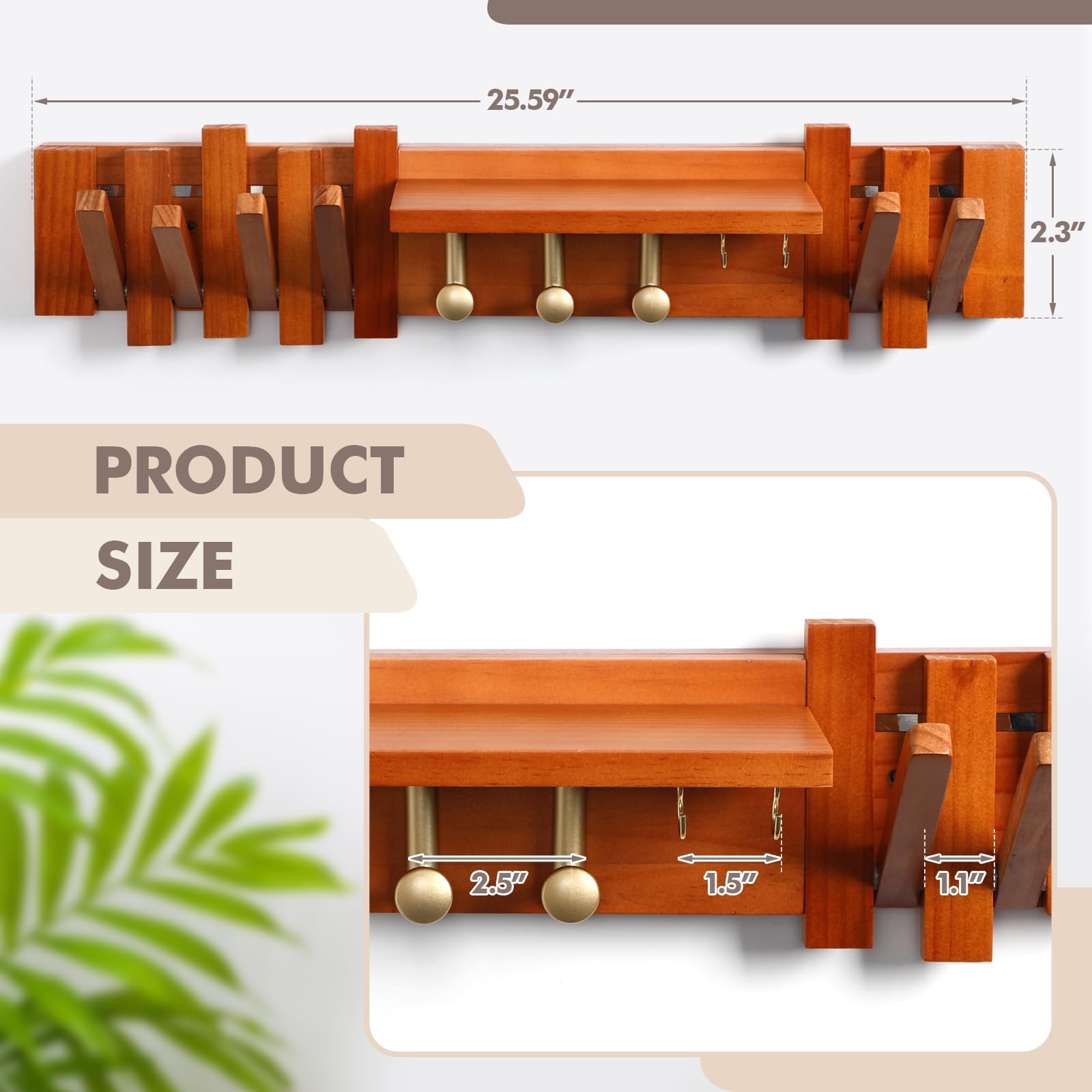 https://m.media-amazon.com/images/I/71fujI7TmsL.jpg