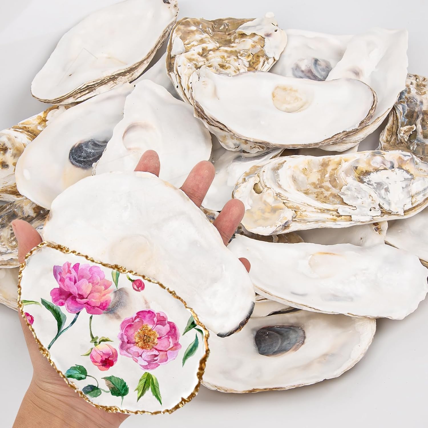 20PCS Flat Oyster Shells 5"-6" Extra Large Oyster Shells for Crafts Natural Oyster Shells Bulk, for Home Vase Filler, Xmas Ornaments, DIY Arts and Crafts Sea Shells