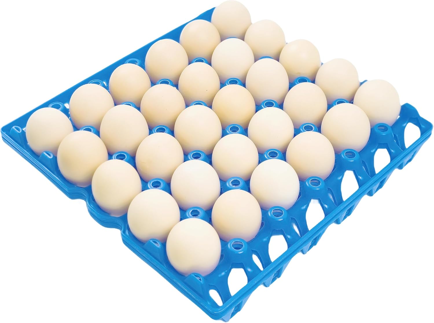 4Pack Plastic Egg Tray Egg Crates 30Egg Flats for Home