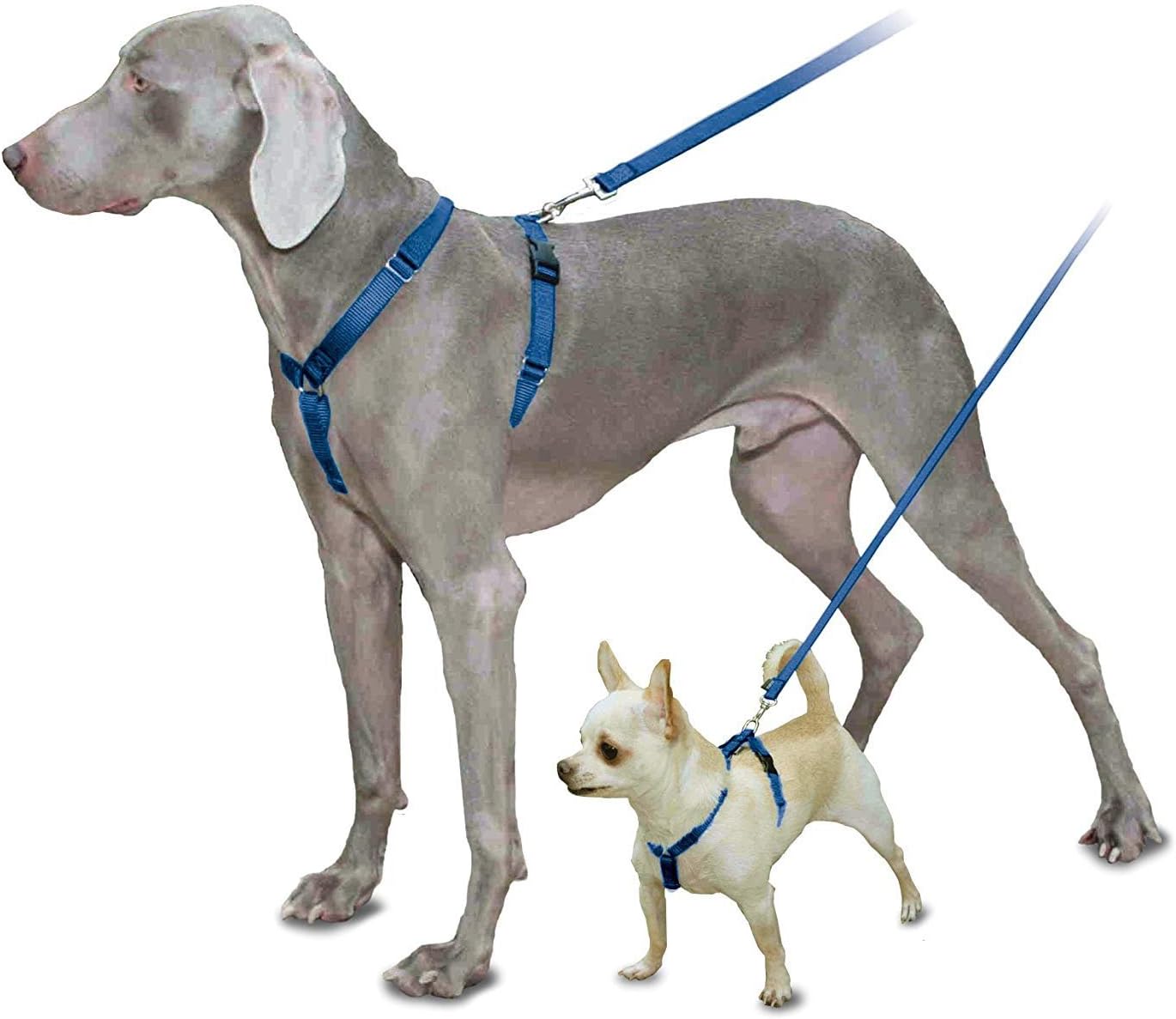 petsafe adjustable coupler