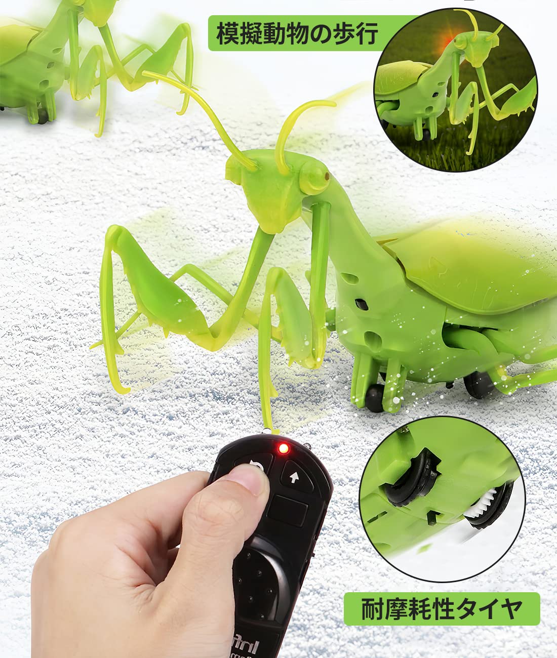 Amazon | 億騰 リモコン昆虫 擬似昆虫 てんとう虫/カメ/サソリ