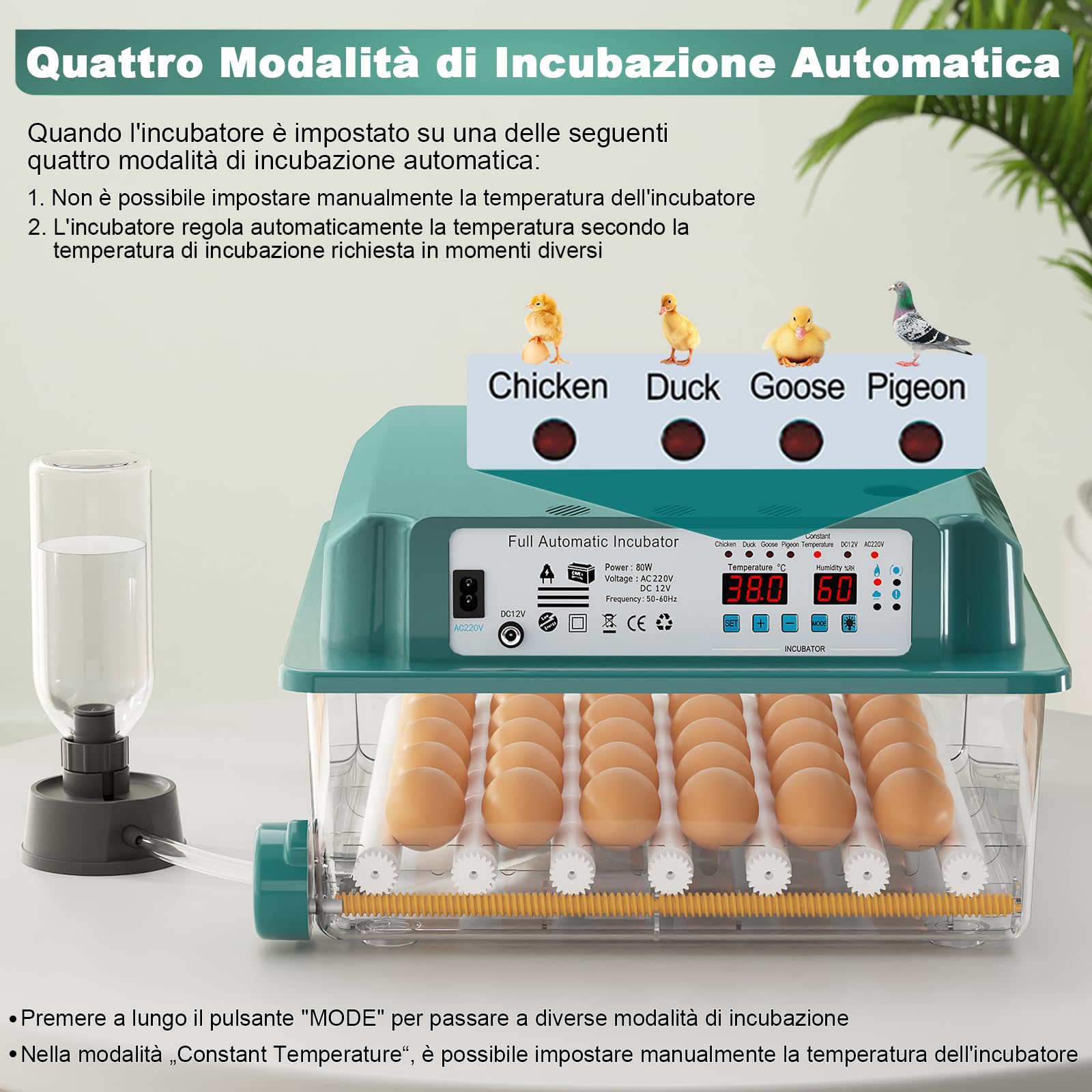 CoInceptus Incubatrice per Uova Automatica, Incubatrice per 24-36 Uova con Rotazione Automatica delle Uova e Aggiunta Automatica dell'acqua, Incubatrice con 4 Modalità di Incubazione Automatiche