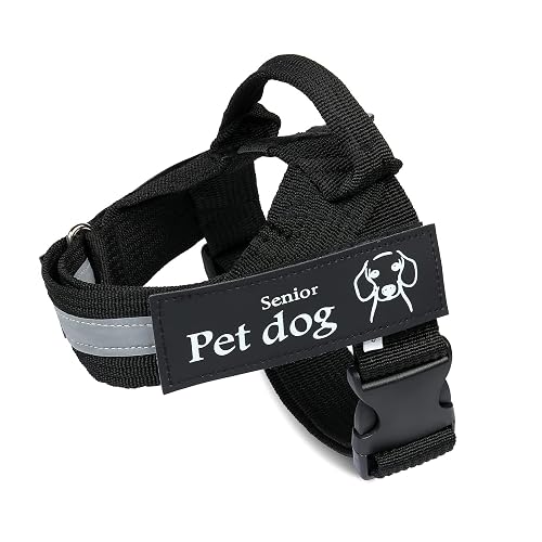 Albertband Arnés para Perros Personalizado, Chaleco Reflectante sin Tirones para Perros