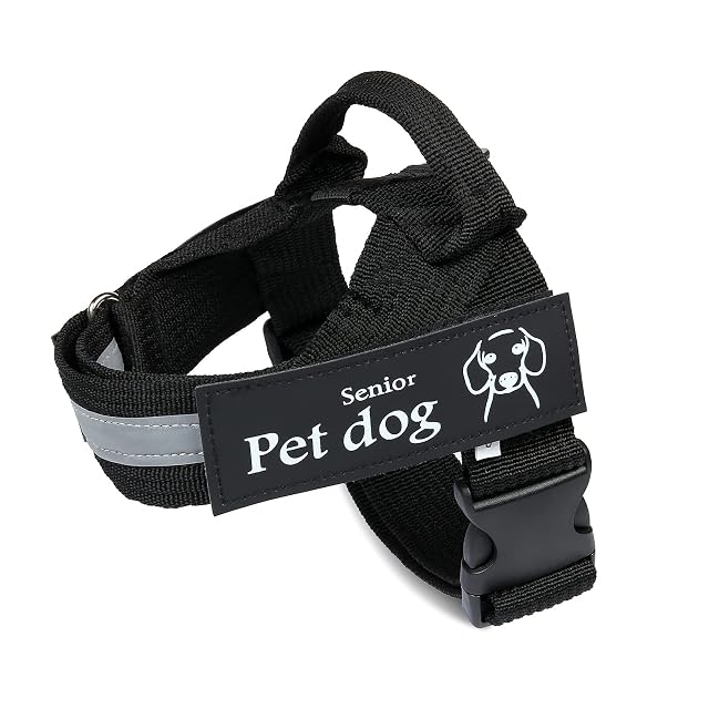 Albertband Arnés para Perros Personalizado, Chaleco Reflectante sin Tirones para Perros