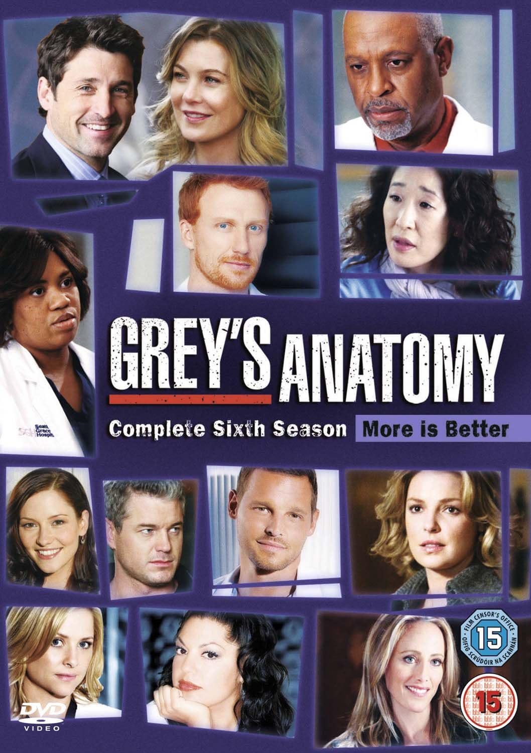 Grey's Anatomy: Season 6 [DVD] [2009]