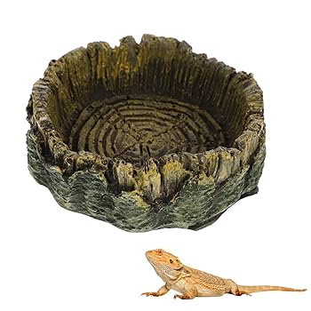 Amazon | PAVIKE リクガメ用 シェルター & フードプレート