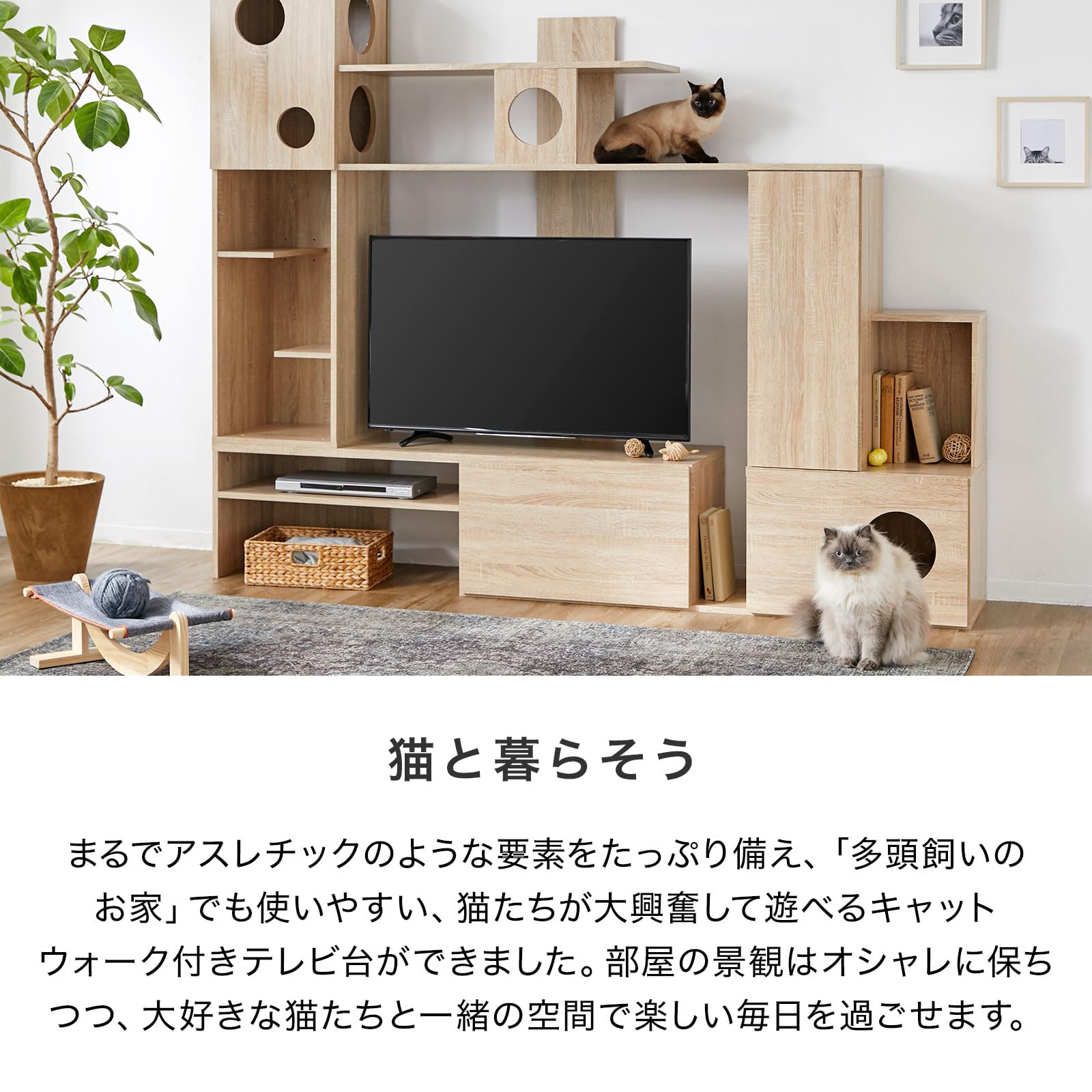 Amazon.co.jp: LOWYA ロウヤ 猫 家具 TVボード テレビ台 キャット