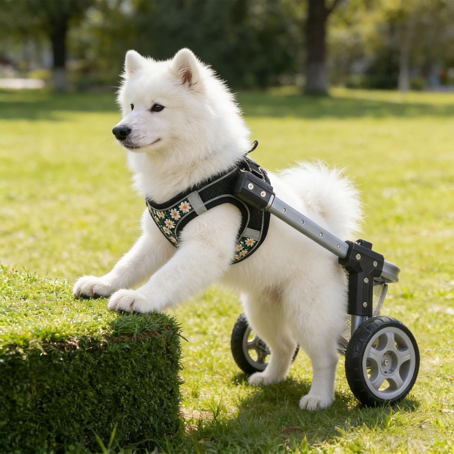 ordinarYone Adjustable Dog Two Wheel Wheelchair Mobility Aid Pet Leg Convenient For Disabled Pet