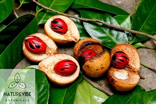 Vista 24 de Naturevibe Botanicals - Pimienta de cayena en polvo, 2 libras, condimento de cayena, sabor picante y picante, ideal para cocinar y salsas picantes