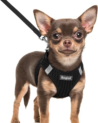 Eagloo Dog Harness Small Breed and Leash Set, Step in Small Puppy Pet Vest