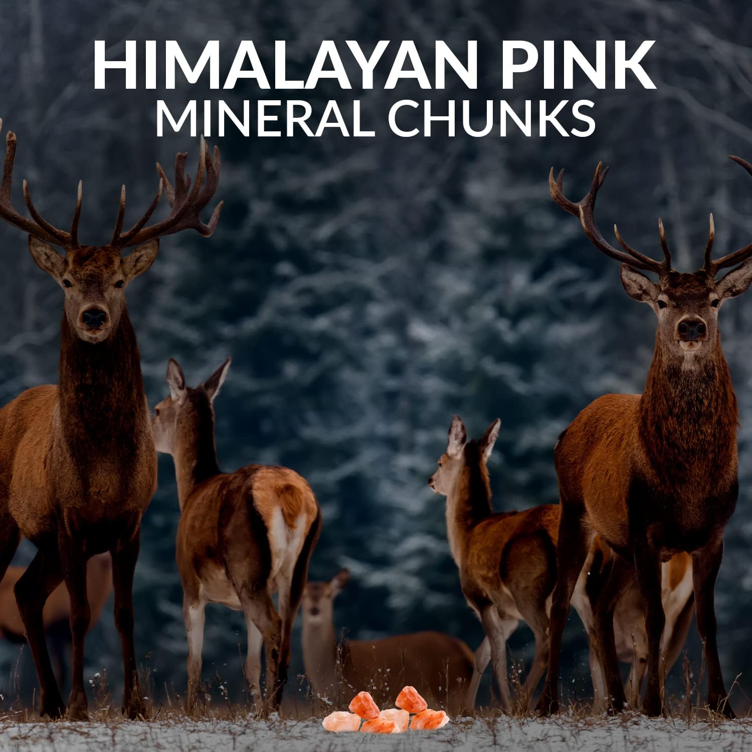 Himalayan Nature 100% Natural Solid Deer Mineral Rock Salt Chunks - Perfect for Hunting & Observing | 8 LBS : Grocery & Gourmet Food