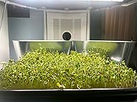 Review Image by Rebecca A Smith