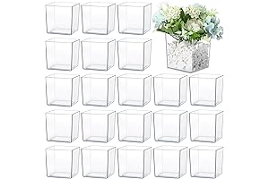 Tioncy 24 Pcs Cube Clear Flower Vase 4" x 4" Acrylic Flower Vase