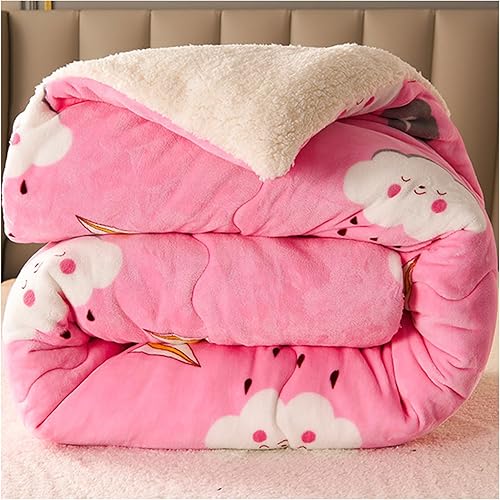 Edredóncolcha, edredón de plumón, edredón de cachemira, edredón grueso y cálido de felpa de otoño primavera, mantas de microfibra esponjosa para