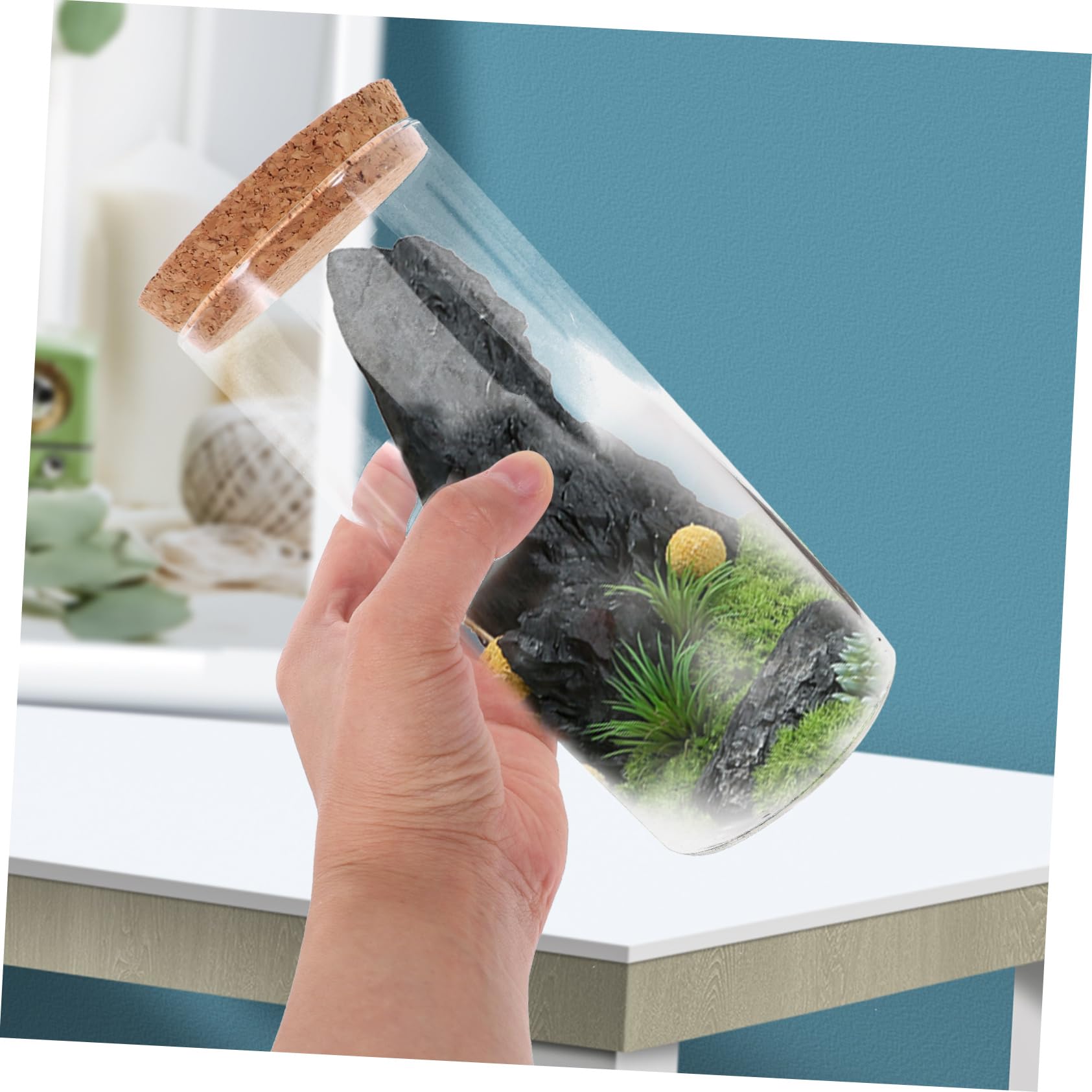 BESPORTBLE 5 Piezas Botella ecologica contenedor de Micro paisajismo Decorativo Terrario de Planta de Aire Botella Multiusos Terrarium Botella Transparente terrario de Cristal con Tapa Vidrio