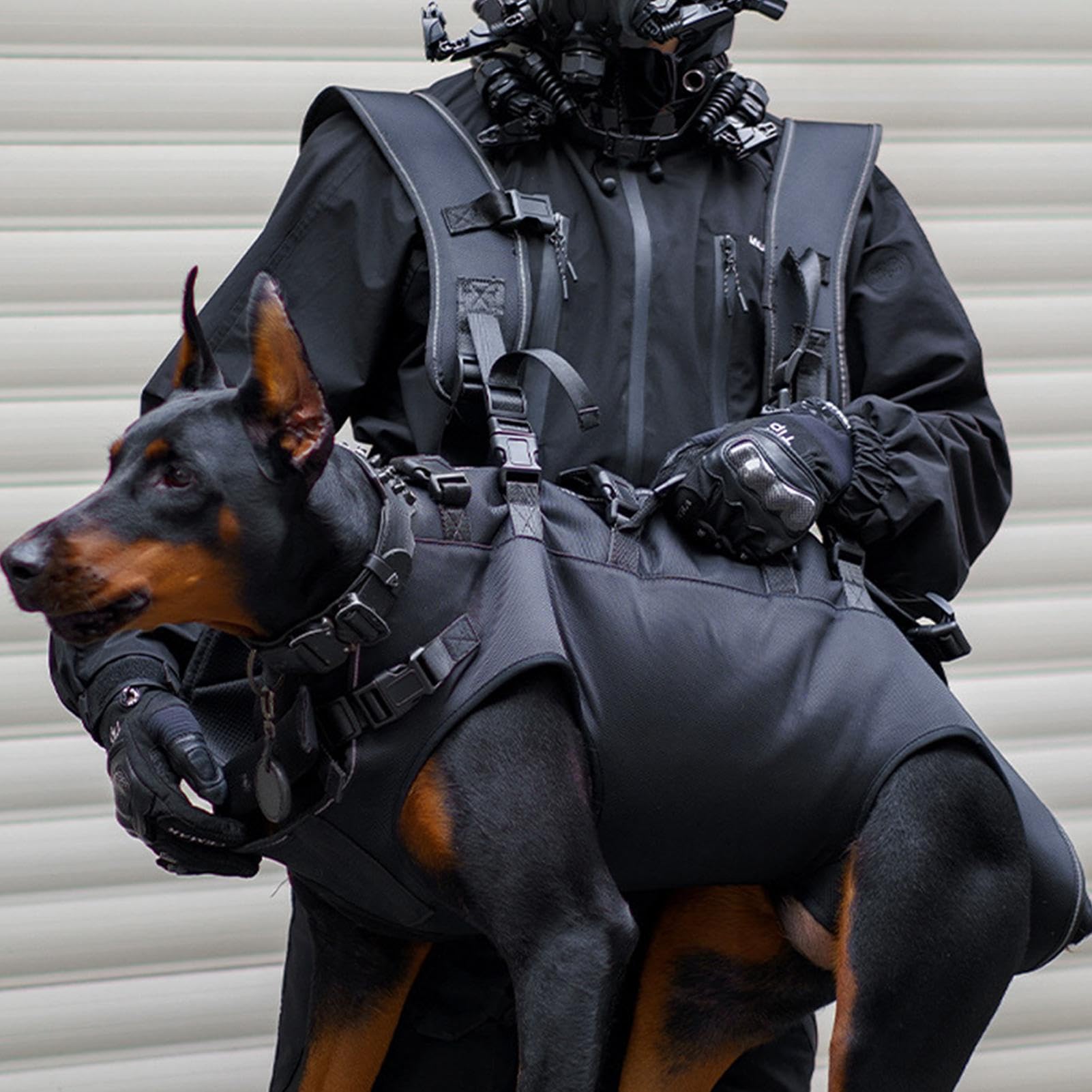 Ceille Ellif De Perro Para - Hermosa Profemental Cinturón Completo Borps | Soporte Cuerpo | Haz Oxford con Cinturón De Patas | Carrier De Perro Para Auto Motorrad Reisen