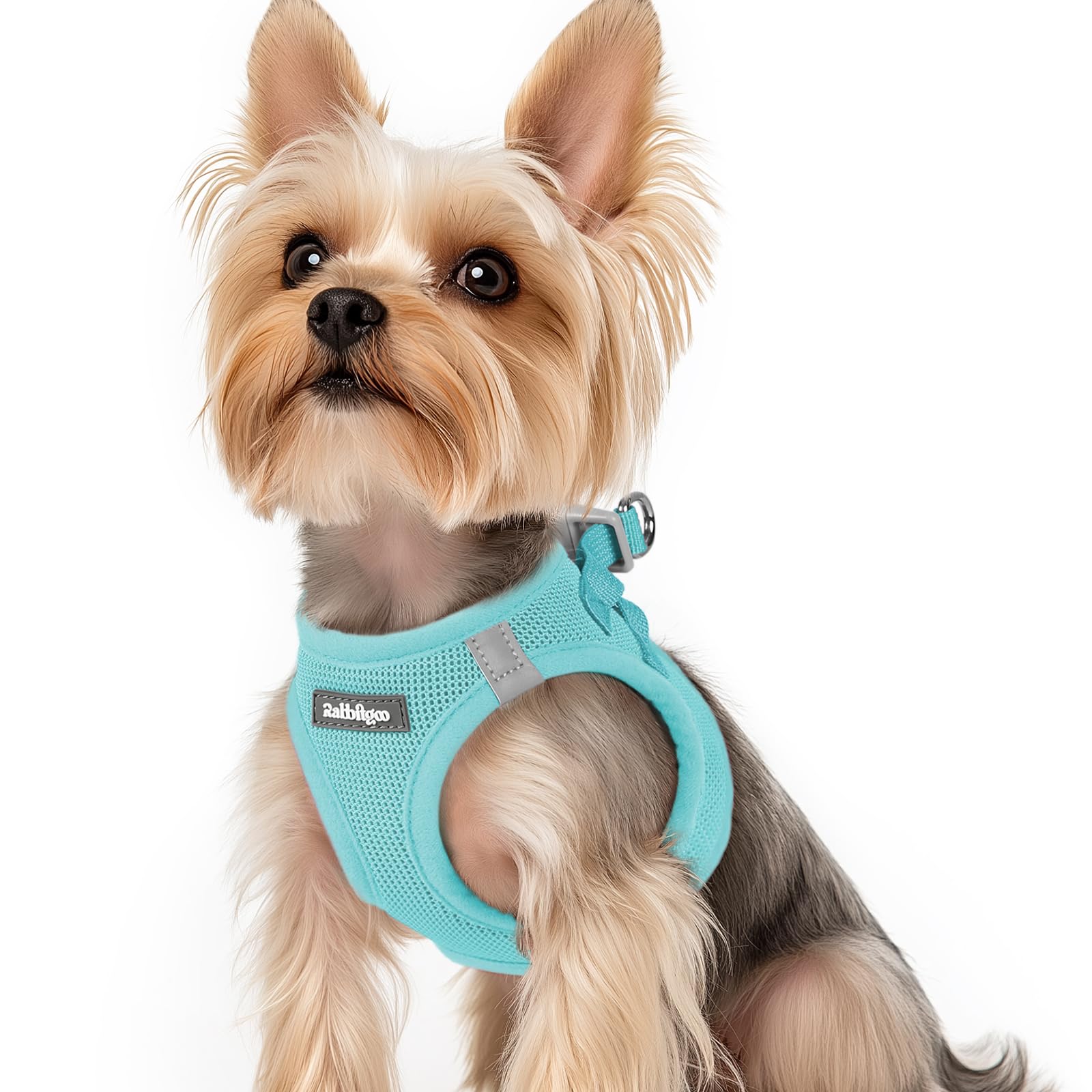 rabbitgoo Hundegeschirr kleine Hunde, Step-in Soft Mesh Hundegeschirr mit Sicherheitsverschluss, atmungsaktives und reflektierendes Welpengeschirr für kleine Hunde