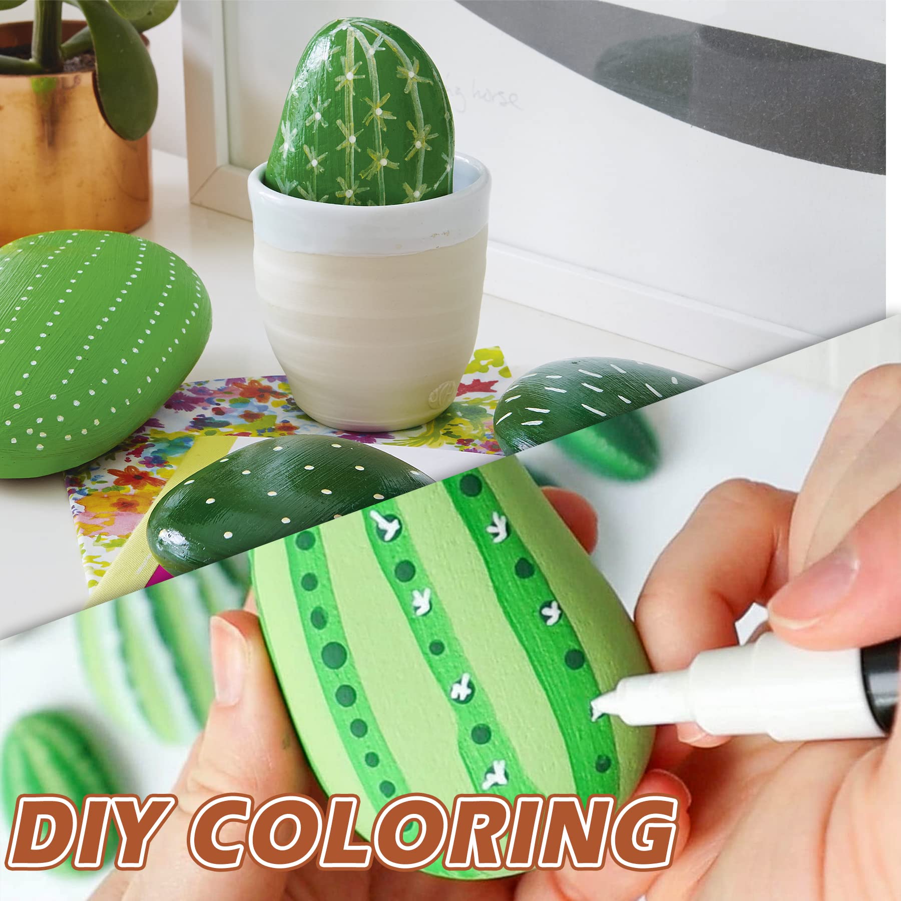 Amazon.co.jp: White River Rock 植物用 11ポンド 小さな装飾