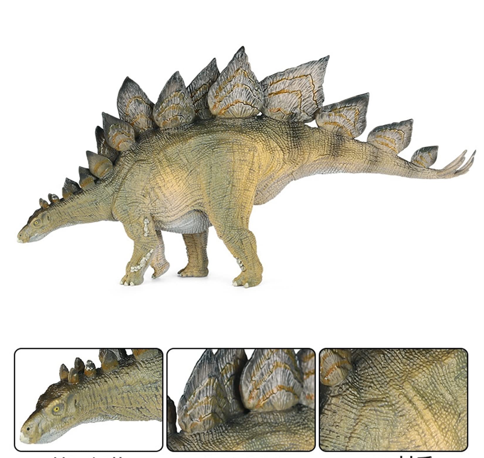 Amazon | ステゴサウルス 剣竜類 恐竜 リアル フィギュア PVC